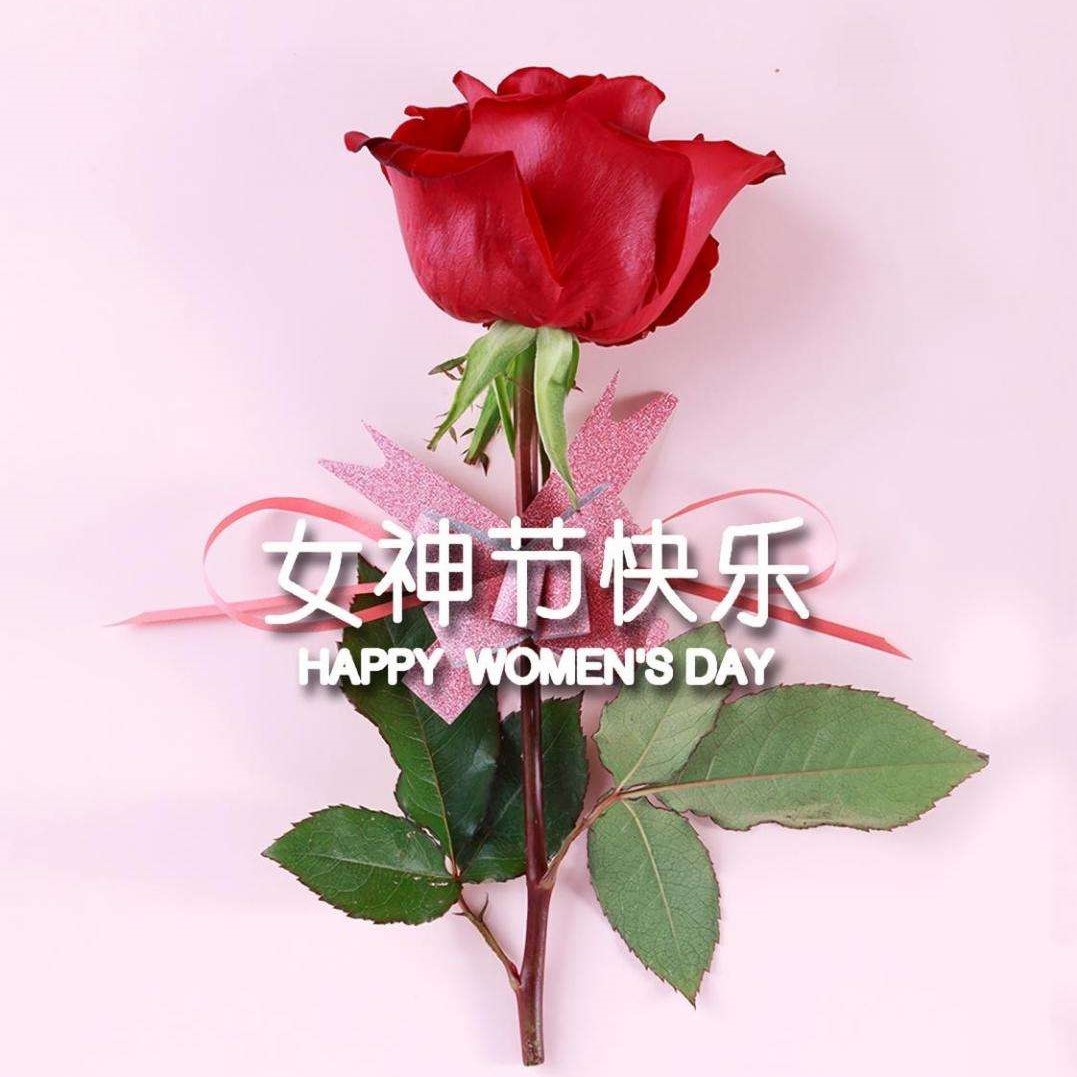 女神節(jié)特輯丨以醫(yī)療力量，筑女性健康